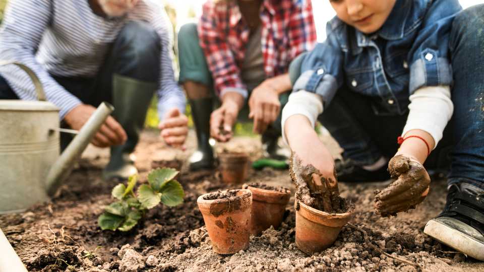 Gardening activities for kids 