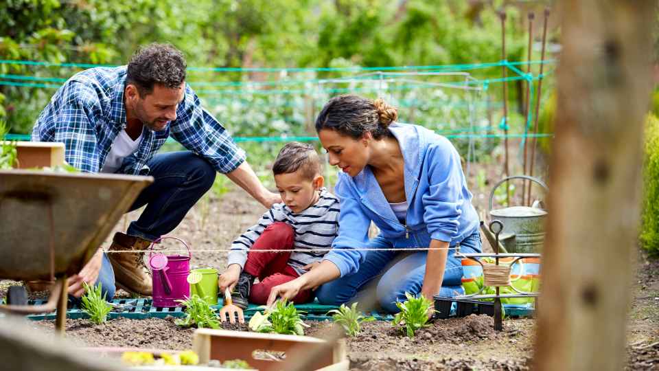 Gardening activities for kids 